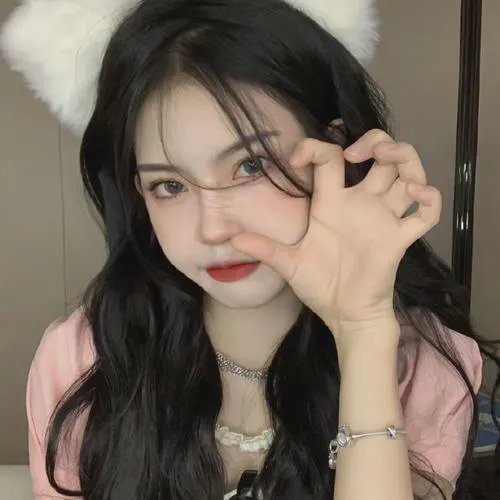 翱翔于天际的夜鹰